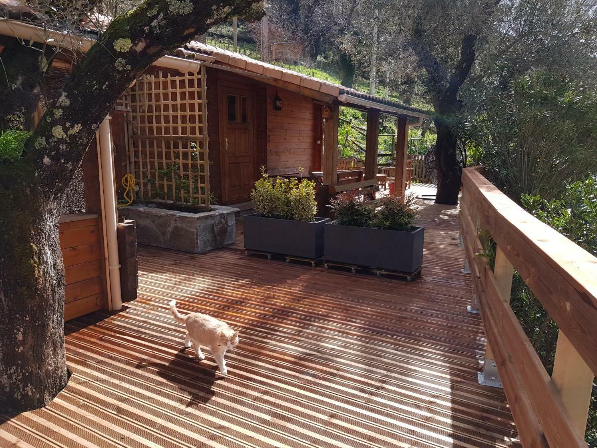 Le Chalet De Valentine & Laurent Olmiccia ภายนอก รูปภาพ